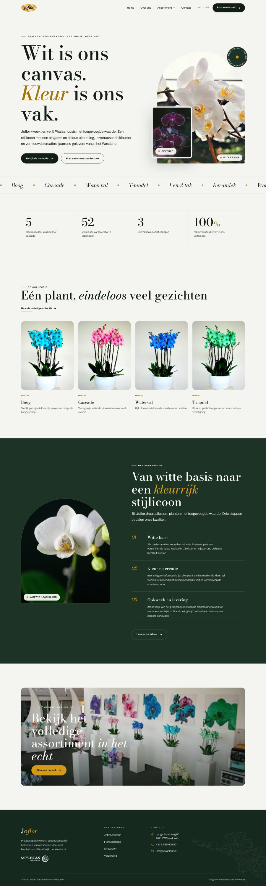 Joflor — schermafbeelding van de site